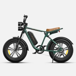 ENGWE M20 Dual Battery Elektrijalgratas, 150km Elektrirattad Elektritõukerattad, elektrilised jalgrattad ja laste elektriautod 2