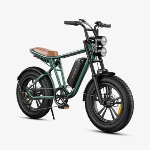 ENGWE M20 Dual Battery Elektrijalgratas, 150km Elektrirattad Elektritõukerattad, elektrilised jalgrattad ja laste elektriautod 1