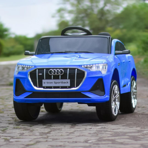 Elektriline litsentsiga sõiduauto lastele Audi E-tron Sportback, 4x4, 140W, nahkiste, sinine