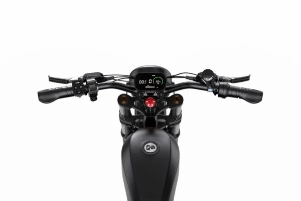 DUOTTS F20 Retro Fat Tire Elektriratas – 750W, 120km Elektrirattad Elektritõukerattad, elektrilised jalgrattad ja laste elektriautod 5