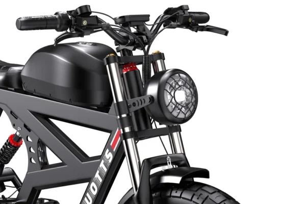DUOTTS F20 Retro Fat Tire Elektriratas – 750W, 120km Elektrirattad Elektritõukerattad, elektrilised jalgrattad ja laste elektriautod 4