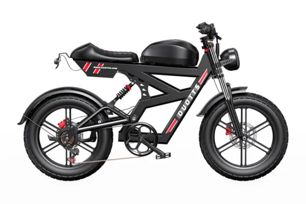 DUOTTS F20 Retro Fat Tire Elektriratas – 750W, 120km Elektrirattad Elektritõukerattad, elektrilised jalgrattad ja laste elektriautod 2