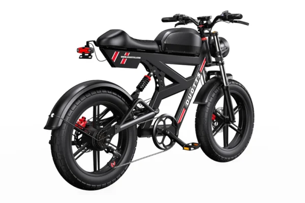 DUOTTS F20 Retro Fat Tire Elektriratas – 750W, 120km Elektrirattad Elektritõukerattad, elektrilised jalgrattad ja laste elektriautod 3