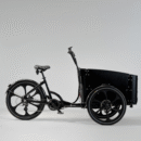 Elektriline kastiratas CARGOBIKE Delight