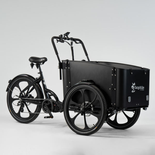 Elektriline kastiratas CARGOBIKE Delight - Image 2