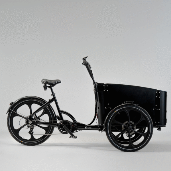 Elektriline kastiratas CARGOBIKE Delight