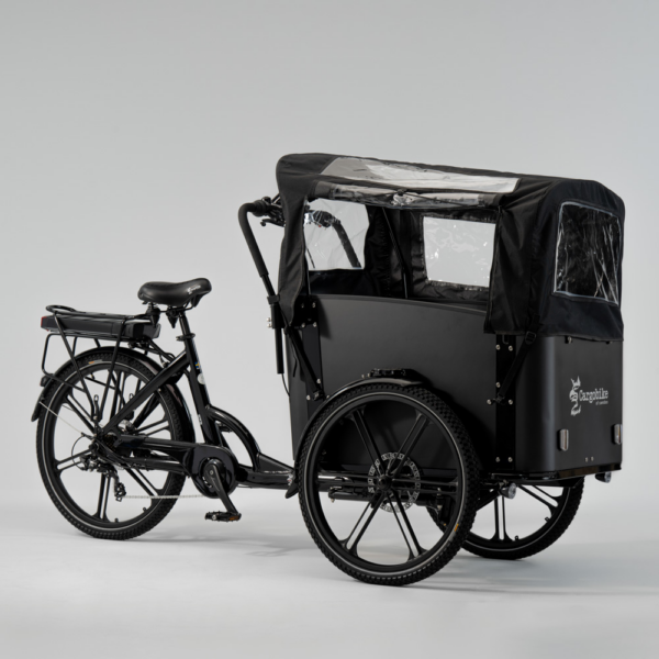 Elektriline kastiratas CARGOBIKE of SWEDEN Flex Jalgrattad Elektritõukerattad, elektrilised jalgrattad ja laste elektriautod 3
