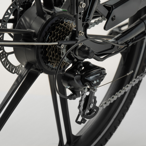 Elektriline kastiratas CARGOBIKE of SWEDEN Flex Jalgrattad Elektritõukerattad, elektrilised jalgrattad ja laste elektriautod 4