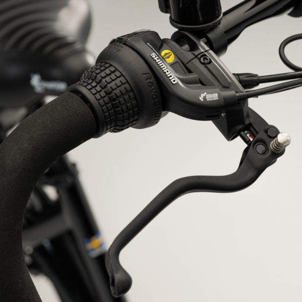 Elektriline kastiratas CARGOBIKE of SWEDEN Flex Jalgrattad Elektritõukerattad, elektrilised jalgrattad ja laste elektriautod 5