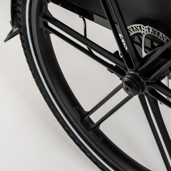 Elektriline kastiratas CARGOBIKE of SWEDEN Flex Jalgrattad Elektritõukerattad, elektrilised jalgrattad ja laste elektriautod 6
