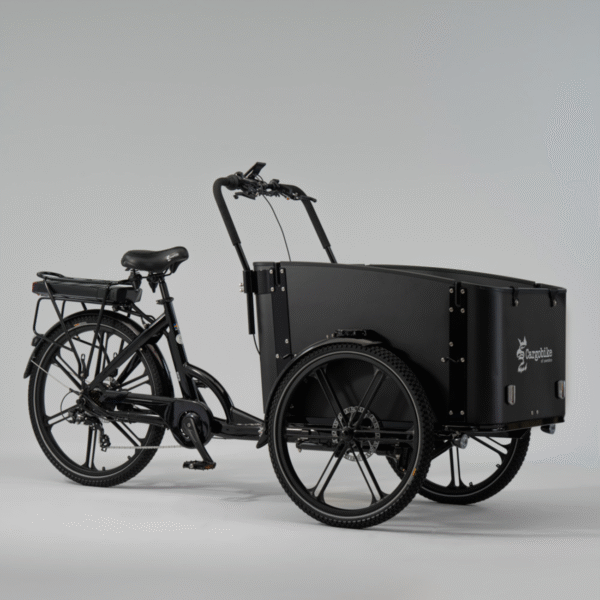 Elektriline kastiratas CARGOBIKE of SWEDEN Flex Jalgrattad Elektritõukerattad, elektrilised jalgrattad ja laste elektriautod 1