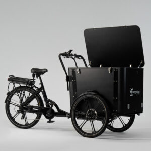Elektriline kastiratas CARGOBIKE of SWEDEN Flex Box Jalgrattad Elektritõukerattad, elektrilised jalgrattad ja laste elektriautod