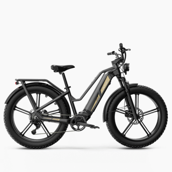 Elektrijalgratas FIIDO Titan, Grey