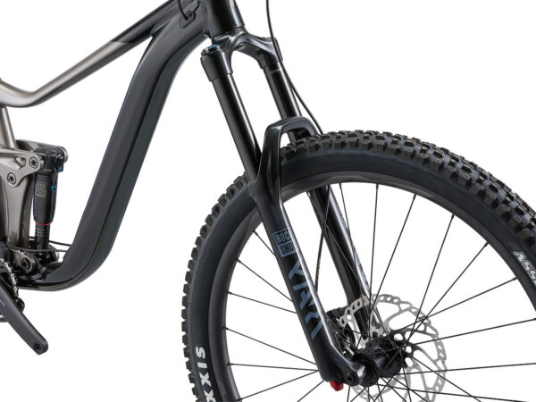 Maastikuratas GIANT Reign 29 2, Black/Metal (L) - Image 7