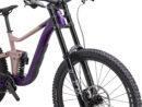 Maastikuratas GIANT Reign SX, Purple/Petra Clay (L)