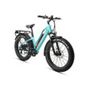 Elektrijalgratas JOBOBIKE Robin ST Green 14 LG