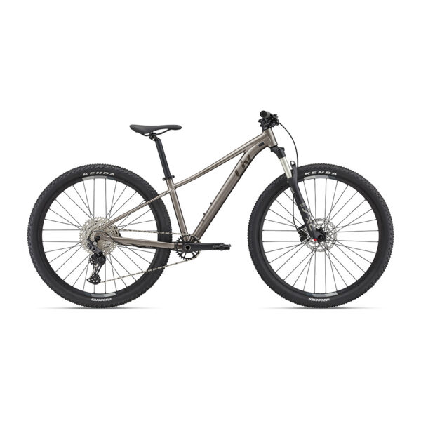 Naiste jalgratas LIV Tempt 0 29" Metal (L)