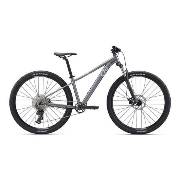 Naiste jalgratas LIV Tempt 2 29" Liquid Metal (M)