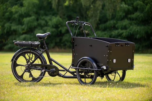 Elektriline kastiratas CARGOBIKE of SWEDEN Svensson Family Jalgrattad Elektritõukerattad, elektrilised jalgrattad ja laste elektriautod 4