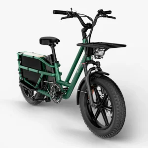 Elektriline kargoratas FIIDO T2 Longtail Cargo, Forest Green Elektrirattad Elektritõukerattad, elektrilised jalgrattad ja laste elektriautod 2