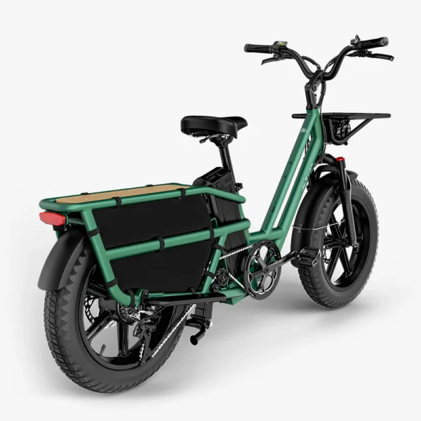 Elektriline kargoratas FIIDO T2 Longtail Cargo, Forest Green Elektrirattad Elektritõukerattad, elektrilised jalgrattad ja laste elektriautod 3