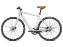 Elektrijalgratas MOMENTUM Voya E+ 2, 28" Lunar (M)