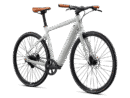 Elektrijalgratas MOMENTUM Voya E+ 2, 28" Lunar (M)