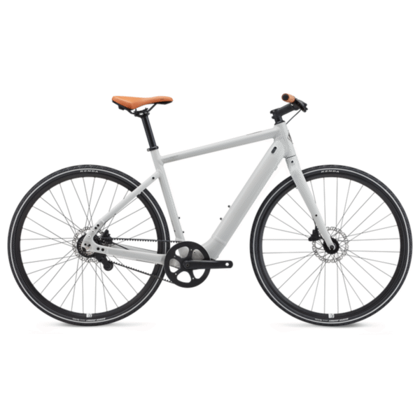 Elektrijalgratas MOMENTUM Voya E+ 2, 28" Lunar (M)