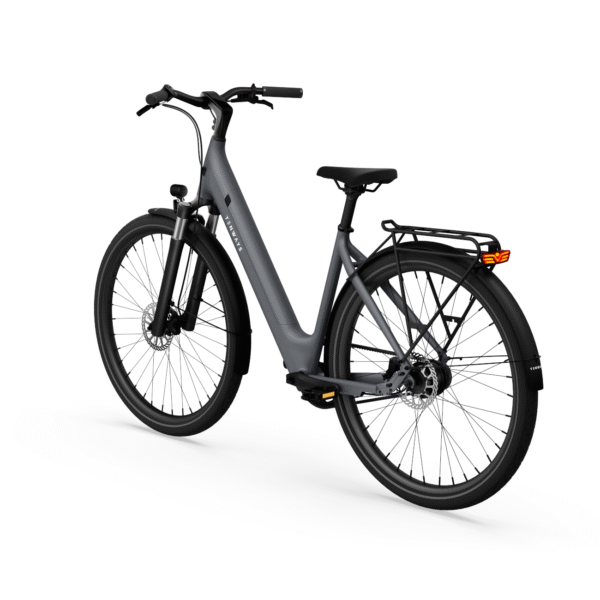 Elektrijalgratas TENWAYS CGO800S (2025) Pebble Grey Elektrirattad Elektritõukerattad, elektrilised jalgrattad ja laste elektriautod 3