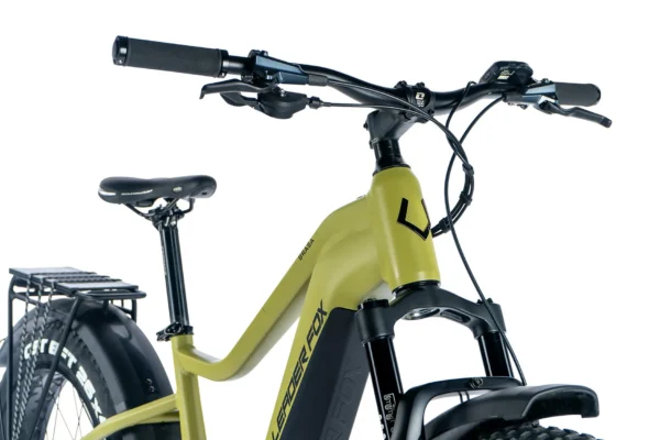 Elektriline fatbike LEADER FOX Brasa 26": Green (L) - Image 2