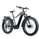 Elektriline fatbike LEADER FOX Brasa 26": Grey (L)