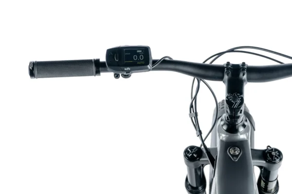 Elektriline fatbike LEADER FOX Brasa 26": Grey (L) - Image 5