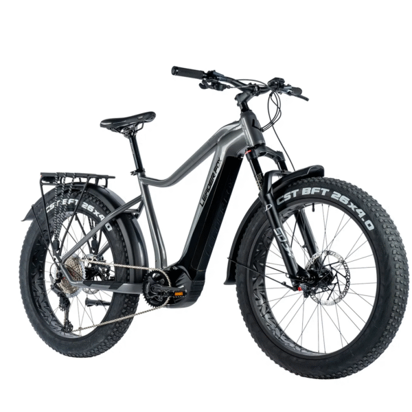 Elektriline fatbike LEADER FOX Brasa 26": Grey (L)