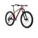 Jalgratas Giant Fathom 29 2, Terracotta (XL)