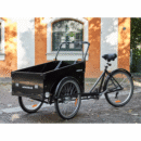 Kastiratas AMLADCYKLER Classic Jalgrattad Elektritõukerattad, elektrilised jalgrattad ja laste elektriautod 1