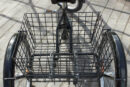 Kolmerattaline jalgratas AMLADCYKLER Adult Tricycle