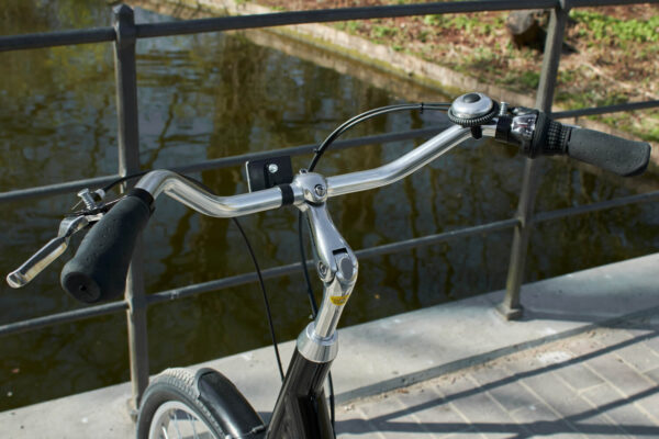 Kolmerattaline jalgratas AMLADCYKLER Adult Tricycle - Image 2