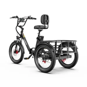 ONESPORT OT30 Pro Cargo elektriline kolmerattaline (E-Trike) – 48V 18Ah, 90 km Elektrimootorratas Elektritõukerattad, elektrilised jalgrattad ja laste elektriautod 2