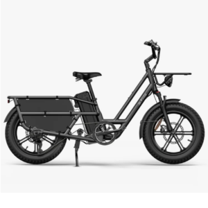 Elektriline kargoratas FIIDO T2 Longtail Cargo, Grey
