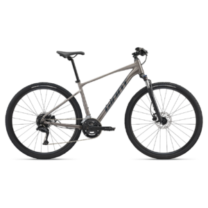 Jalgratas GIANT Roam 3, Metal (L)