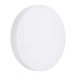 Ceiling light Lepro
