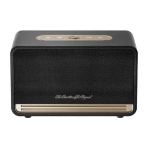 QCY SP300 Wireless Speaker (Black)